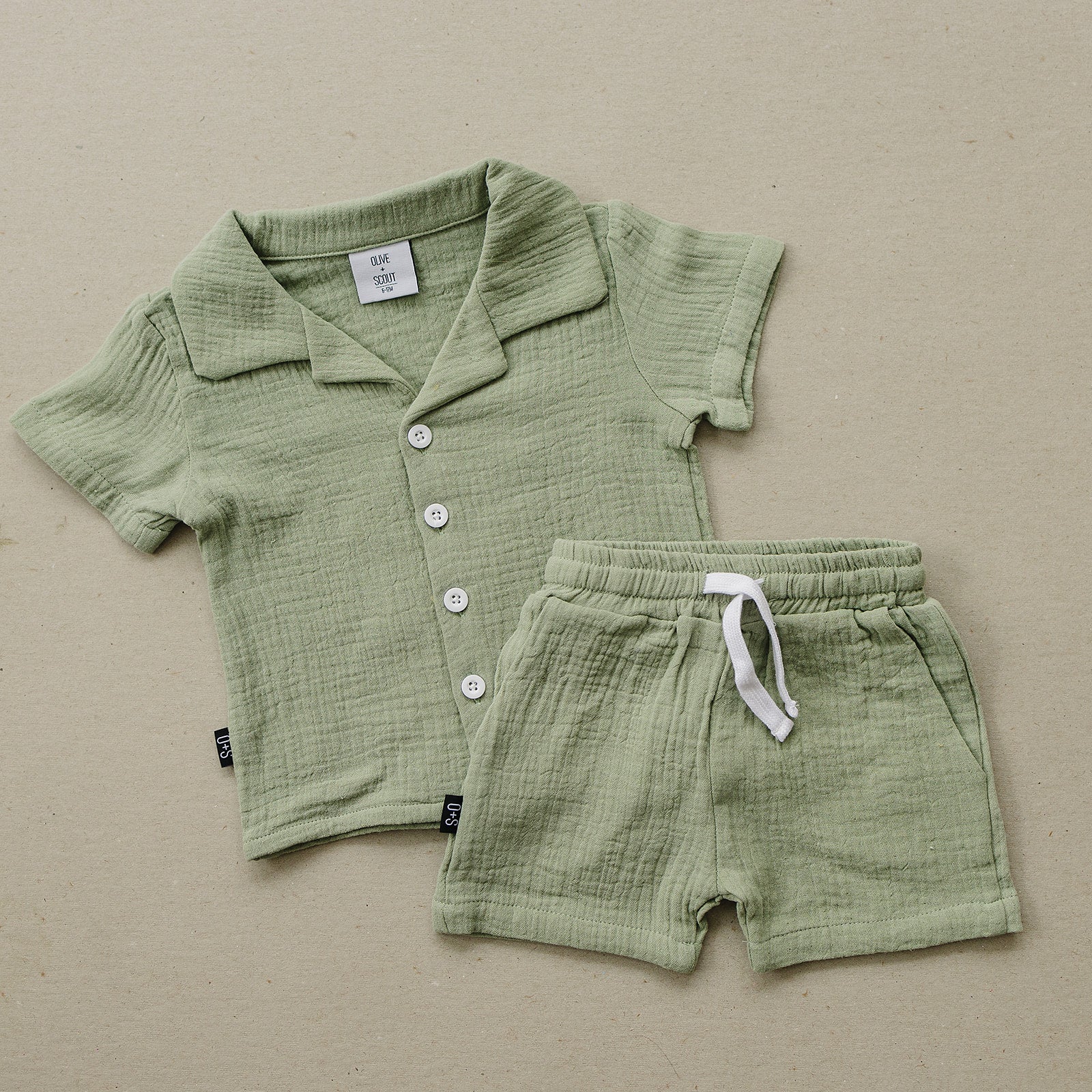Clay Set - Olive + Scout