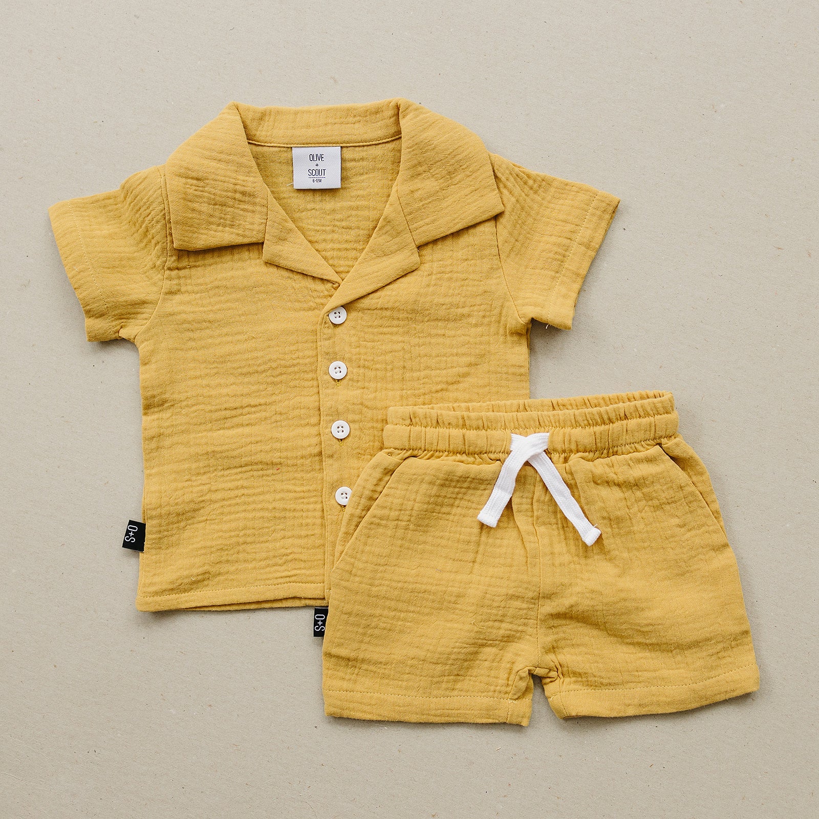 Clay Set - Olive + Scout