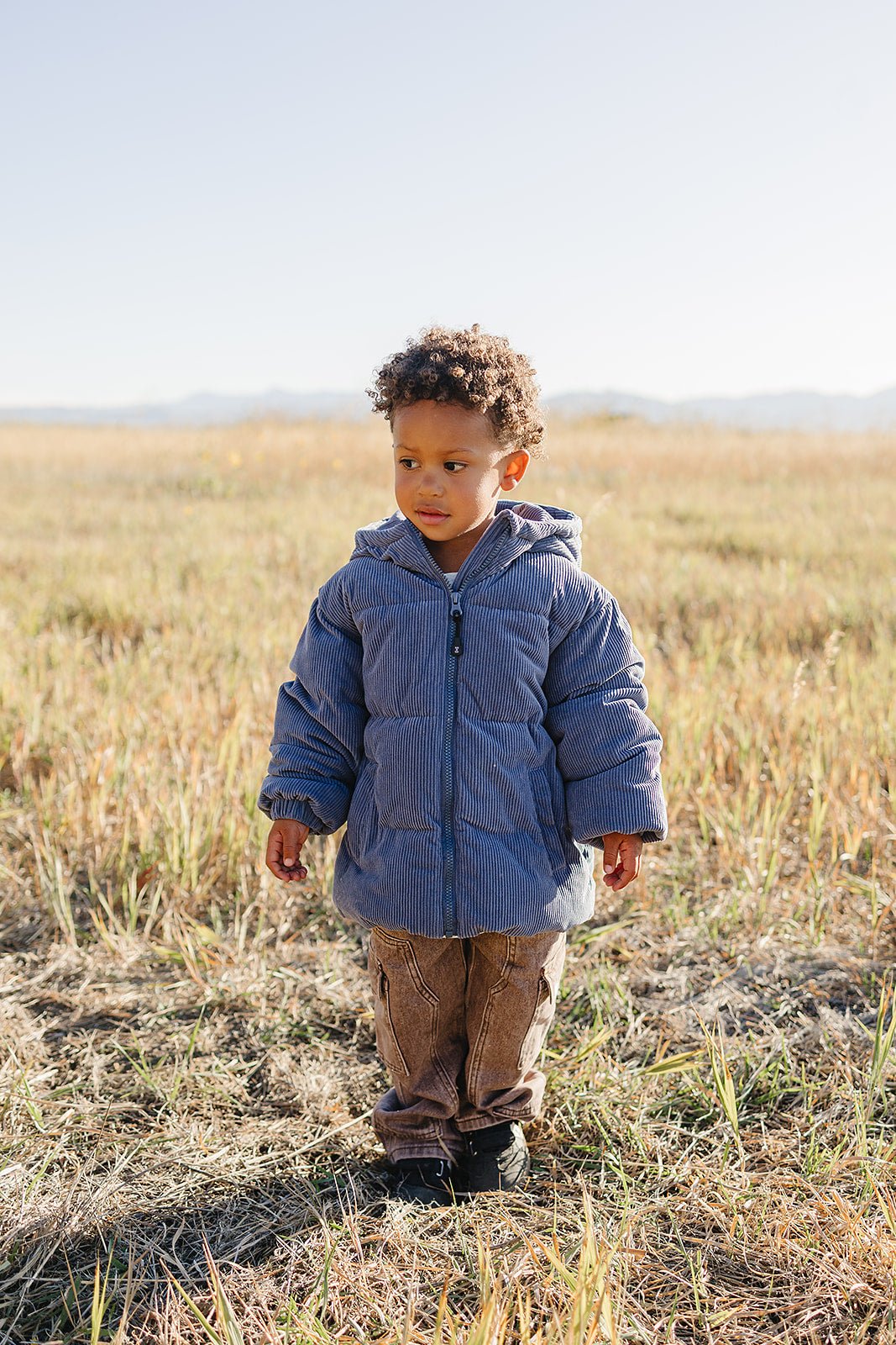 Zander Coat - Olive + Scout